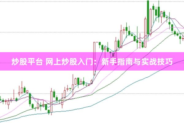 炒股平台 网上炒股入门：新手指南与实战技巧