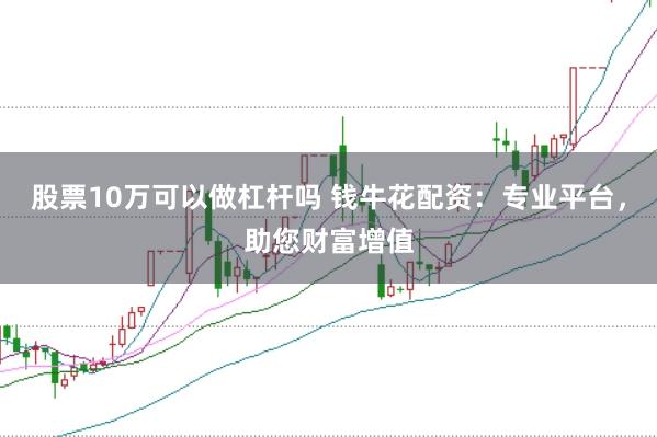 股票10万可以做杠杆吗 钱牛花配资：专业平台，助您财富增值