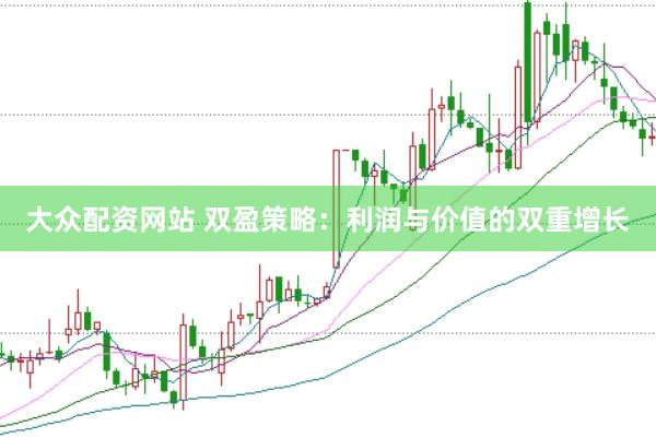 大众配资网站 双盈策略：利润与价值的双重增长