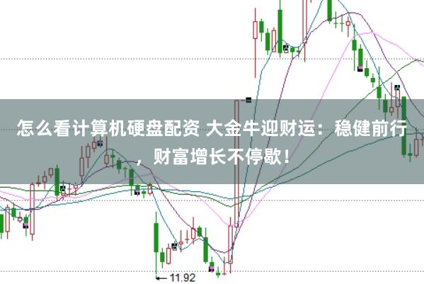 怎么看计算机硬盘配资 大金牛迎财运：稳健前行，财富增长不停歇！