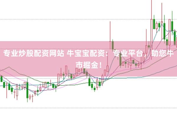 专业炒股配资网站 牛宝宝配资：专业平台，助您牛市掘金！