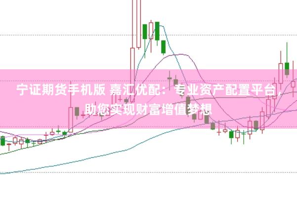 宁证期货手机版 嘉汇优配：专业资产配置平台，助您实现财富增值梦想