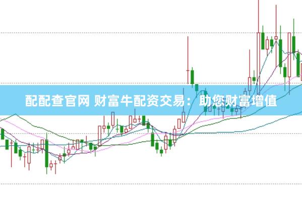 配配查官网 财富牛配资交易：助您财富增值