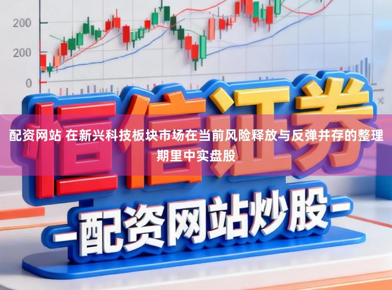 配资网站 在新兴科技板块市场在当前风险释放与反弹并存的整理期里中实盘股