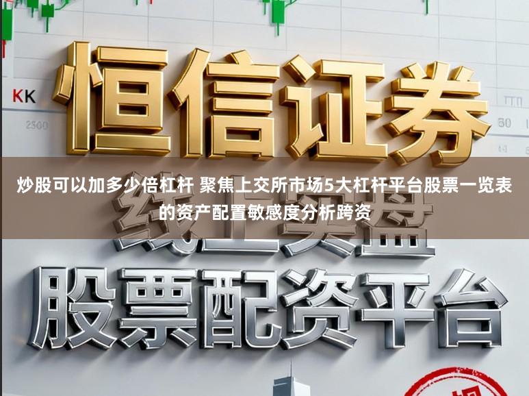 炒股可以加多少倍杠杆 聚焦上交所市场5大杠杆平台股票一览表的资产配置敏感度分析跨资